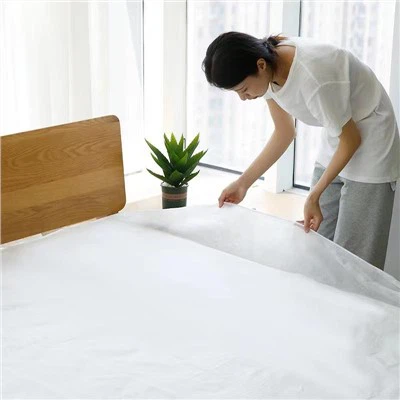 Sprei Non Woven Disposable