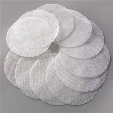 Pla Non Woven